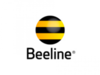 Beeline 100000 LAK Prepaid direct Top Up